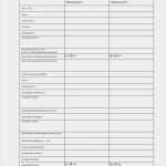 Mieterselbstauskunft 2018 Vorlage Schön 11 Mieterselbstauskunft formular