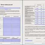 Mieterselbstauskunft Pdf Vorlage Einzigartig Mietvertrag Schufa Auskunft