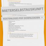Mieterselbstauskunft Pdf Vorlage Inspiration Alles Zur Mieterselbstauskunft