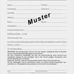 Mieterselbstauskunft Pdf Vorlage Luxus Pflaum Verlag formulare Für Pt Praxis