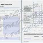 Mieterselbstauskunft Pdf Vorlage Wunderbar Selbstauskunft Des Mieters Mieterselbstauskunft