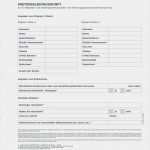 Mieterselbstauskunft Vorlage 2018 Neu 11 Mieterselbstauskunft formular