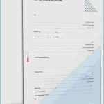 Mieterselbstauskunft Vorlage 2018 Neu Mieterselbstauskunft Vorlage 2017 Best Genogramm