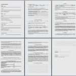 Mieterselbstauskunft Vorlage 2018 Schönste 48 Süß Mieterselbstauskunft Vorlage Bilder