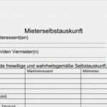Mieterselbstauskunft Vorlage 2018 Süß 15 Mieter Zeugnis Vorlage