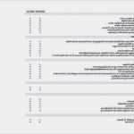 Mieterselbstauskunft Vorlage 2018 Süß Wunderbare Bilder Der Mieterselbstauskunft Vorlage Word