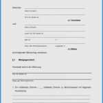 Mieterselbstauskunft Vorlage Kostenlos Fabelhaft Mieterhhung Vorlage Word Der Beste 13 Lebenslauf Vorlage