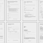 Mieterselbstauskunft Vorlage Ohne Schufa Hübsch Für Vermieter 12 formulare Verträge Und Vorlagen Hier