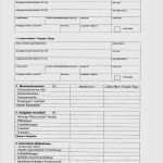 Mieterselbstauskunft Vorlage Word Erstaunlich Selbstauskunft Mieter Vorlage Beste Selbstauskunftsbogen