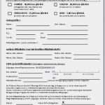 Mietschuldenfreiheitsbescheinigung Vorlage Word Gut 27 Inspiration Putzplan Treppenhaus Vorlage Ideen