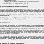 Mietvertrag Für Gewerbliche Räume Vorlage Luxus Mietvertrag Für Gewerbliche Räume Pdf