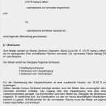 Mietvertrag Für Gewerbliche Räume Vorlage Neu Muster Mietvertrag Für Gewerbliche Räume Pdf