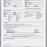 Mietvertrag Haus Vorlage Word Bewundernswert Genial Mietvertrag Haus Muster Vorlage Beispiel Bild Vom