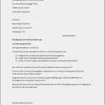 Mietvertrag Haus Vorlage Word Luxus Vordruck Mietvertrag Haus Ausgezeichnet Mietvertrag