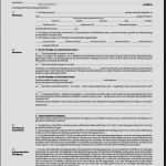 Mietvertrag Haus Vorlage Word Neu Wunderbar Mietvertrag Haus Kostenlos Download Expose