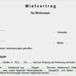 Mietvertrag Küche Vorlage Großartig Word Vorlage Mietvertrag Wohnung Download