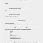 Mietvertrag Pdf Vorlage Gut Mietvertrag Muster