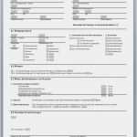 Mietvertrag Vorlage 2017 Schön Mietvertrag Vorlage 2017 Fabelhaft Mietvertrag Gewerbe