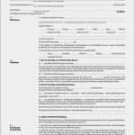 Mietvertrag Vorlage 2018 Hübsch Mietvertrag Lagerraum Muster Herunterladen Kündigung