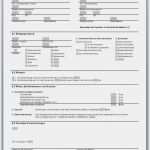 Mietvertrag Vorlage Garage Schön Mietvertrag Muster Haus Garage Kündigung Muster Genial