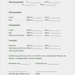 Mietvertrag Wg Zimmer Vorlage Kostenlos Inspiration Mietvertrag Wohngemeinschaft Hier Zum Download