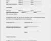 Mietvertrag Wohnung Vorlage Bewundernswert Häusliche Verbesserung Wohnung Mietvertrag Muster Pdf