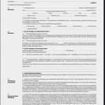 Mietvertrag Wohnung Vorlage Kostenlos Schönste 12 Untermietvertrag Kostenlos