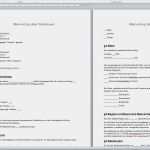 Mietvertrag Wohnung Vorlage Vermieter Erstaunlich Mietvertrag Vorlage › Mietvertrag Muster