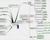 Mindmap Leere Vorlagen Einzigartig organisationsanalyse Vorteilspaket Zum Download