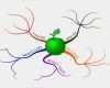 Mindmap Vorlage Download Schön Mindmap Vorlage Word – Various Vorlagen