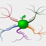 Mindmap Vorlage Download Schön Mindmap Vorlage Word – Various Vorlagen