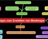 Mindmap Vorlage Kostenlos Fabelhaft 6 Tipps Für Das Erstellen Von Mindmaps Mit Examtime