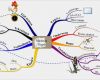 Mindmap Vorlage Leer Erstaunlich 5 Tips Om Het Maximale Uit Je Mindmap Te Halen