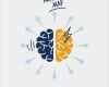 Mindmap Vorlagen Download Kostenlos Erstaunlich Fun Mindmap Vorlage Mit Gehirn