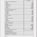 Mini Businessplan Vorlage Fabelhaft Businessplan Als Excel Vorlage