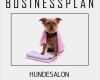 Mini Businessplan Vorlage Neu Businessplan Vorlage Existenzgründung Hundesalon Inkl