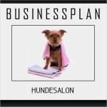 Mini Businessplan Vorlage Neu Businessplan Vorlage Existenzgründung Hundesalon Inkl