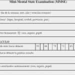 Mini Mental Test Vorlage Gut Fonoaudiologa Salud Y Educación Minimental State