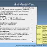 Mini Mental Test Vorlage Wunderbar Neurologie Für Den Ambulanten Pflege Nst Ppt Herunterladen