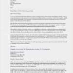 Minijob Abrechnung Vorlage Bewundernswert Job Bewerbung Vorlage 35 Call Center Bewerbung Jacksongariety