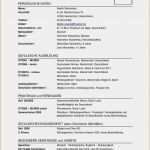 Minijob Bewerbung Vorlage Fabelhaft 8 Bewerbung Minijob Vorlage