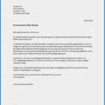 Minijob Bewerbung Vorlage Hübsch 15 Bewerbung Minijob Vorlage