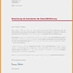 Minijob Bewerbung Vorlage Schönste Netto Aushilfe Bewerbung Bewerbung Netto Teilzeit Freerobo