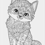 Ministeck Vorlagen Pdf Süß Kids N Fun