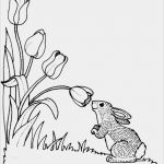 Ministeck Vorlagen Zum Ausdrucken Schönste Kids N Fun