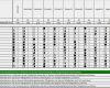 Mitarbeiter Qualifikationsmatrix Excel Vorlage Kostenlos Elegant Premiumtool Führungscockpit