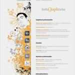 Mitarbeiterausweis Vorlage Word Angenehm Gallery Of 10 Tabellarischer Lebenslauf Vorlage Timothy