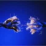 Mitarbeitergespräch Leitfaden Vorlage Genial Mitarbeitergespräch Leitfaden Für Alle Fälle