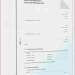 Mitarbeitergespräch Vorlage Pdf Großartig Vorlage Mitarbeitergesprach Word Monatsbericht Vorlage