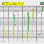 Mitarbeiterschulung Vorlage Elegant Erfreut Kompetenzmatrix Vorlage Bilder Beispiel